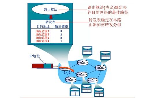 計算機網(wǎng)絡(luò)網(wǎng)絡(luò)層之路由算法