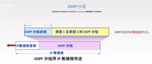 計算機網絡信息咨詢 深入解析網絡層的核心功能與關鍵技術