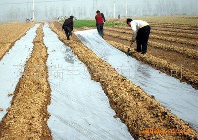 全國低價(jià)格農(nóng)用PE地膜價(jià)格分析與生產(chǎn)廠家盤點(diǎn)
